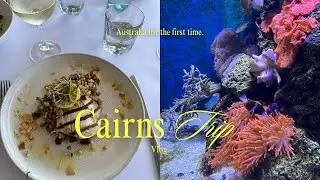 【オーストラリアvlog】ケアンズ観光｜コアラ抱っこ｜ケアンズ水族館｜海が見えるおしゃれレストラン｜グレートバリアリーフの魚たち｜クルーズ船を眺めながら楽しむモーニング