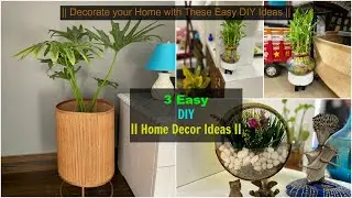 3 DIY Home Decor Ideas you can easily DIY at Home | Best out of Waste | Organizopedia