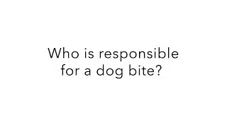 Who is responsible for a dog bite?