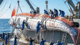 Deep Sea Giant Oarfish Encounter &ndash; Rare &ldquo;Leviathan&rdquo; Brought Aboard!