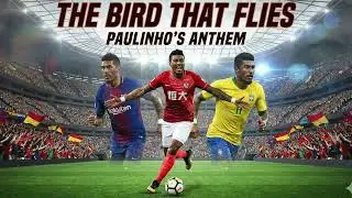 Paulinho 保利尼奥 Anthem | The Bird That Flies | 有没有信心?!
