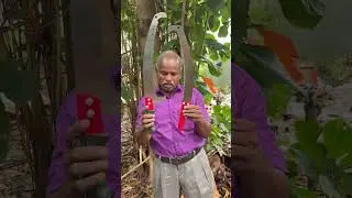 Telescopic Pruning saw Rs.450 & 550, 9787672239, Melur, Madurai #pruning #sawblade #madurai #cutter