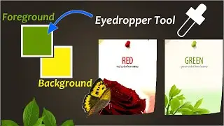 Photoshop Tutorial 11- Eyedropper Tool Part 2 | BNXpert