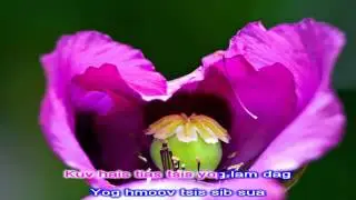 paj yeeb ntsha instrumental HD