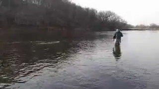 Landing Fish on a long Spey Rod
