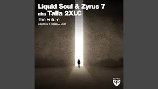 The Future (Liquid Soul Mix)