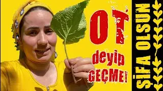 Gabalak Yemeyen de Ne Bilim :)