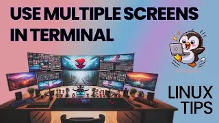Multiple Screens in One Terminal