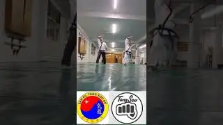 formas Tang Soo Do karate #tangsoodo #karate #taekwondotradicional