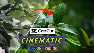 Capcut Cinematic Colour Grading Tutorial /  How to Color Grade Nature Videos in CapCut  