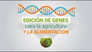 Chilebio: 
