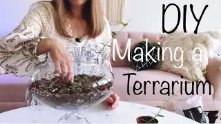 DIY Let&rsquo;s Make a Terrarium for Small Leaf Hoya
