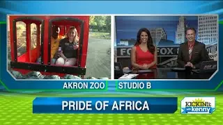 Fox 8's Kenny Crumpton visits new Akron Zoo exhibit 'Pride of Africa'