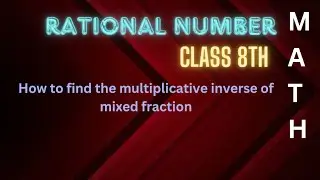 Important Questions | Rational Number | Class 8th | Math