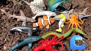 Clean Ocean Toys: Kids Learning!