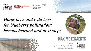 EBD Seminars | Maxime Eeraerts