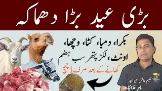 Bakra Eid Special Hazma Phakki/Eid Pr Gosht Hazam Krne Ka Tarika|Organic Remedy To Boost Digestion