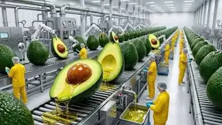 Pure Avocado Oil Production Process at the Factory 🥑 | From Harvest to Bottling (Full Process)