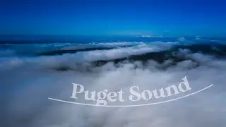 Shores of Puget Sound - Spring Wildlife and Aerial Photography