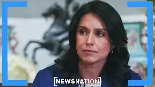 Gabbard alleges Obama manufactured intel on Russian interference | Elizabeth Vargas Reports
