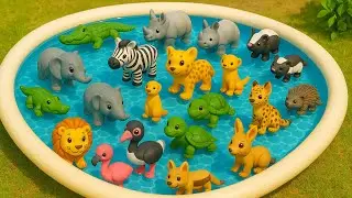 🦁🐘🦓 31 Amazing Safari Animals for Kids 🦁🦓🐘 | Learn Fun African Animal Facts! | Gon Gon Edu 🦁🐘🦓