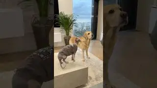 У кого лучше получается?😁