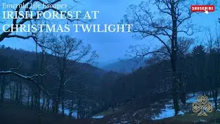 Irish Forest at Christmas Twilight &ndash; Soft Woodland Winter Ambience (1 Hour 45 Minutes)