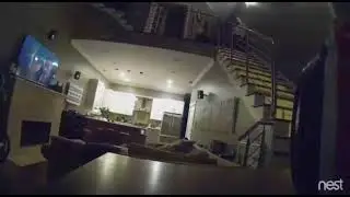 The 5 scariest thing get caught in the camera