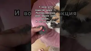 Мини игрушки для питомцев #крыса #веселыекоты #питомцы #котик #красиваякошка #милыекошки #кот