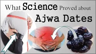 Health Benefits of Ajwa Dates Proven By Science