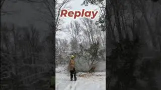 Dropping Snow Covered Tree  #oldman #portablesawmill #sawmilllife #treefelling #hemlock