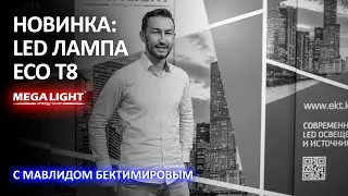 РАЗБОР НА НОВИНКУ LED лампа ECO T8 - ekt.kz