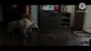 fox vfx/ android mobile