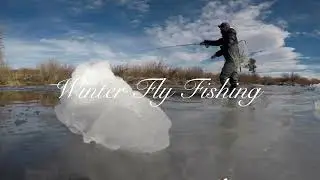 Winter Fly Fishing Buena Vista & Salida, Colorado