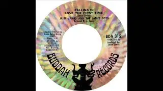 Jesse James - Falling In Love The First Time