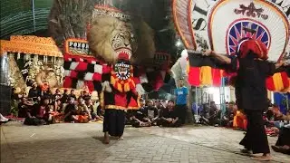 Adu ketangkasan dua dadak merak‼️live desa tugu, mlarak , ponorogo