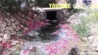 واحة شنني قابس صوت خرير المياه منظر رائع  Oasis Chenini GabeS