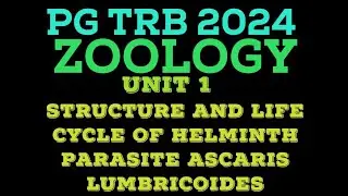 ASCARIS LUMBRICOIDES | ROUND WORM | HELMINTH PARASITE | ASCARIASIS | PG TRB 2024 ZOOLOGY