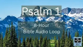 Psalm 1 Audio Loop | 8 Hours of Scripture Reading | The Word of Truth Media