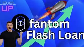 Gains $20,000 Profit with FANTOM FTM Flash Loan Arbitrage Tutorial 2024