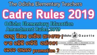 The Odisha Elementary Education Cadre Rules | With Complete details |Cadre | Eligibility| Promotion
