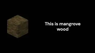 Mangrove Wood - Minecraft
