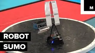 Robot-Sumo Is an Actual Sport and It's Not Just Popular in Japan
