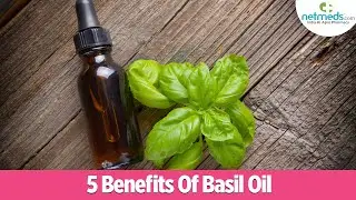 Top 5 Benefits Of Basil Oil