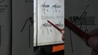 Part 5: LACING THE RUNNING AND STARTING WINDING (REWINDING OF SINGLE PHASE MOTOR )