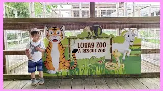 Luray Zoo || ADA HEWAN DI FILM MADAGASCAR