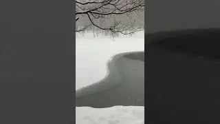 Снегопад 🌨️ в &laquo;Теплом стане&raquo; 🌨️ #shots #winter #snowfall #snow
