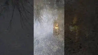 Reflection On The Water