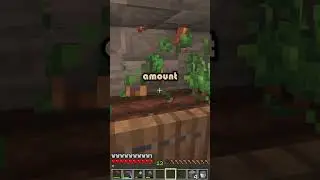 🥕Minecraft Carrot Farms 🚀