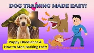 BASIC CANINE TRAINING LEASH + CRATE TRAINING DOG OBEDIENCE TIPS!